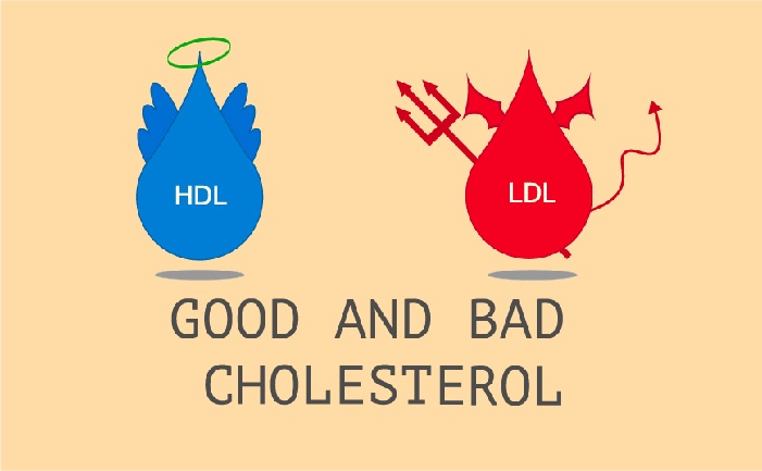 good and bad cholesterol; angel and devil