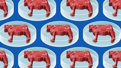 Ethical and Sustainable Guide to Eating Meat