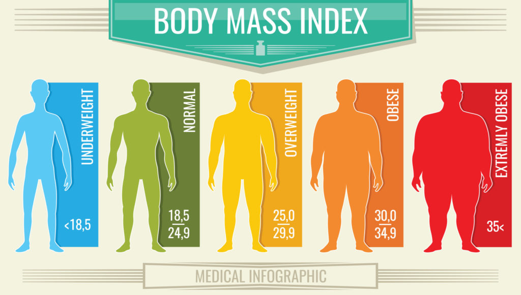 Amazon.com : Body Mass Index 24