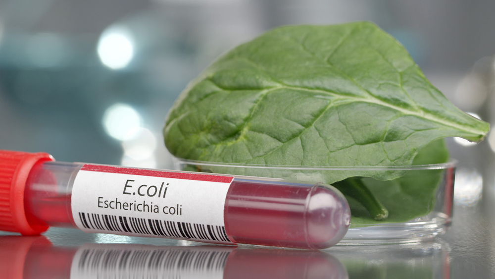 E. coli, listeria, and salmonella outbreaks are widespread with lax regulation. 