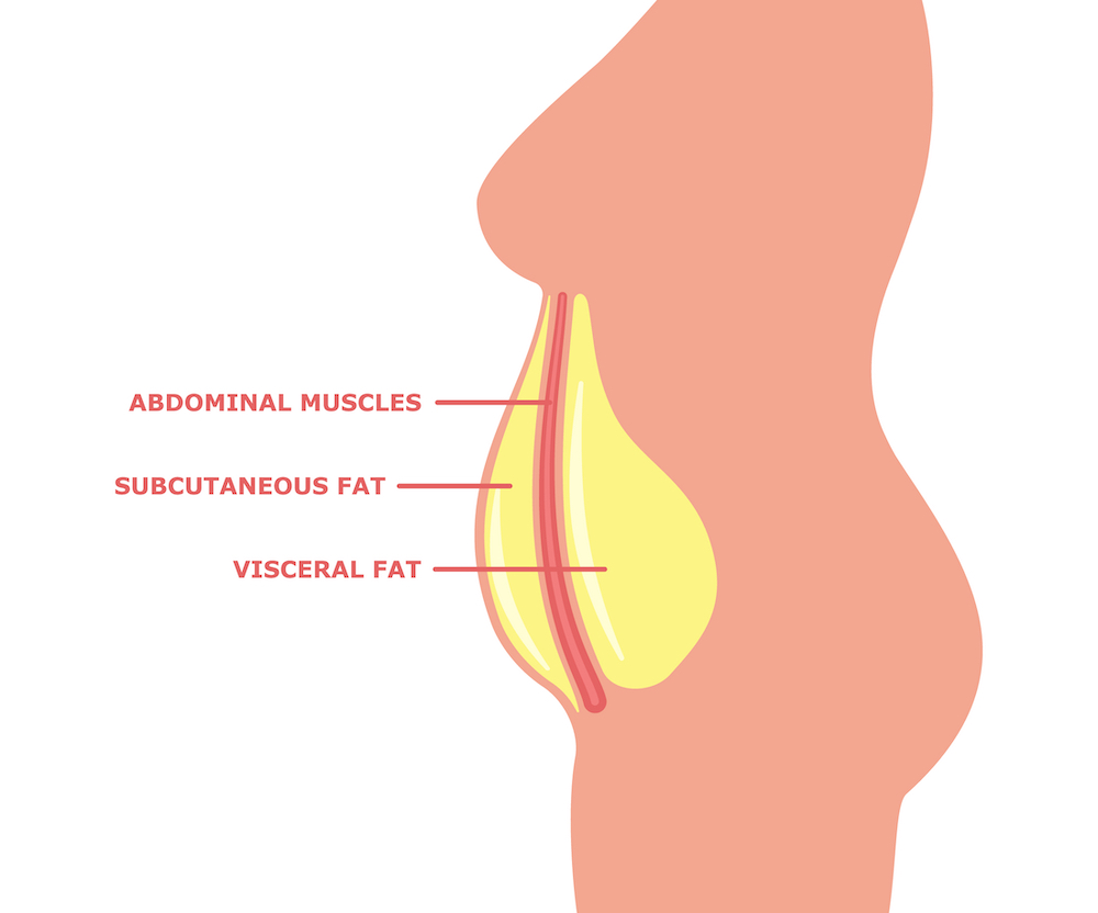 The two types of belly fat: visceral and subcutaneous.