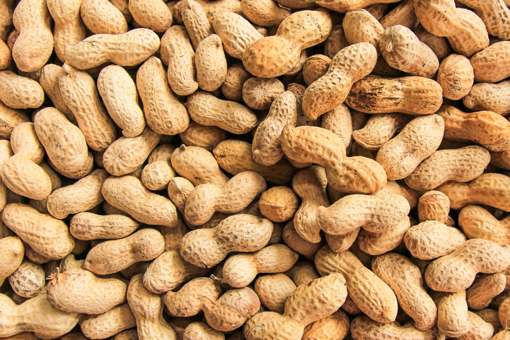 Are Peanuts Keto? (Everything You Need to Know for Your Low-Carb Diet)