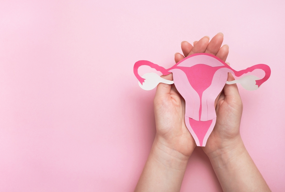 Cupped hands holding a cartoon diagram of a uterus made out of colored paper. 