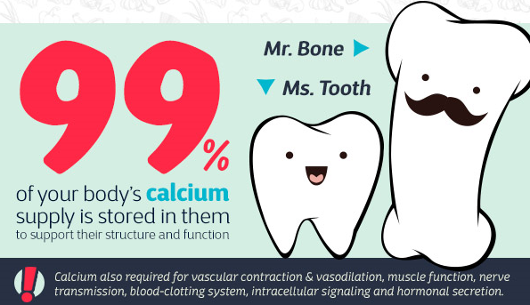 The body's calcium supply.