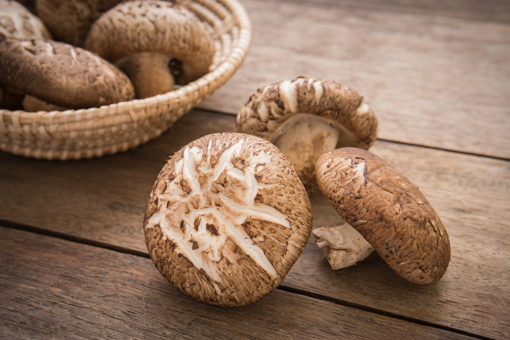 medicinal mushroom benefits of shiitake